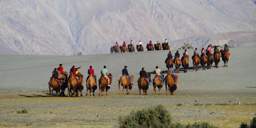 Nubra Valley - Best places to visit in Leh Ladakh